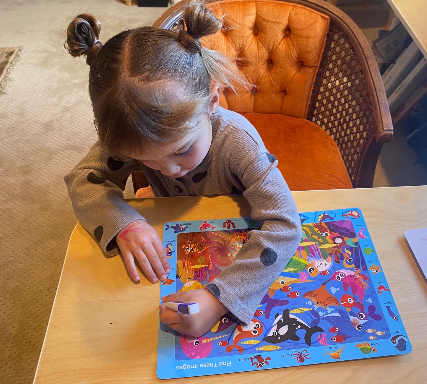 Search & Find Activity Mats