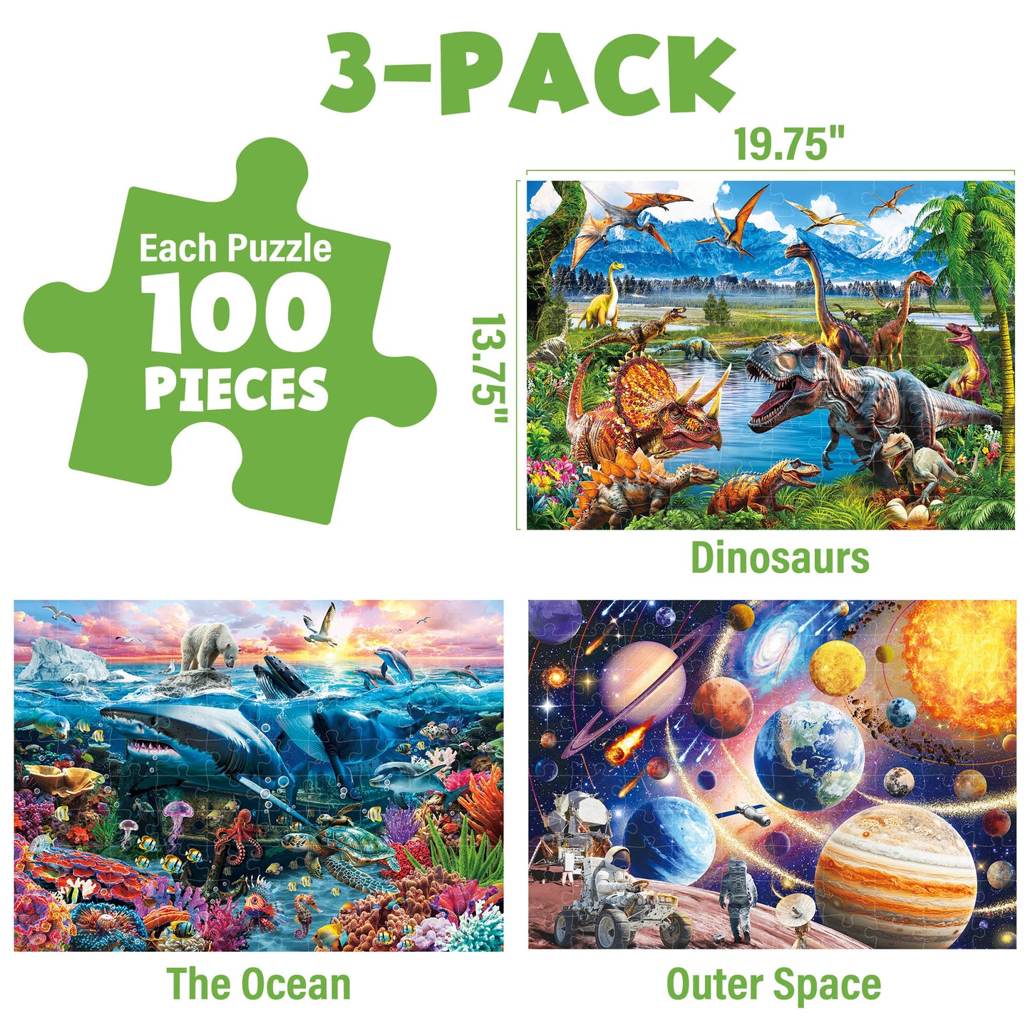 100pc Puzzles - 3pack