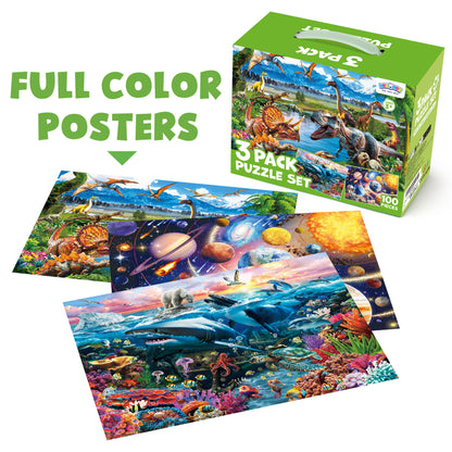100pc Puzzles - 3pack