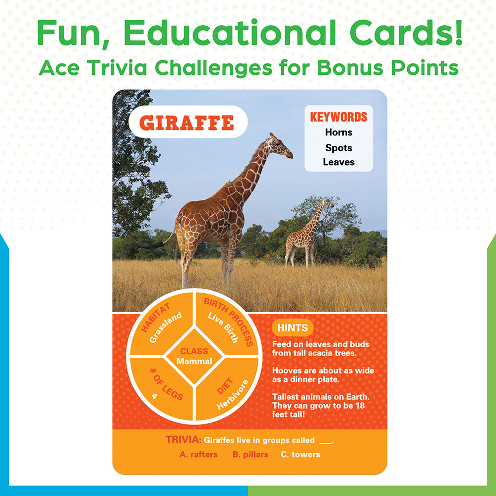 That's My Animal! Guessing Game