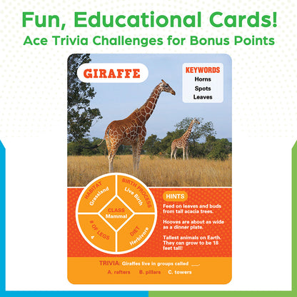 That's My Animal! Guessing Game