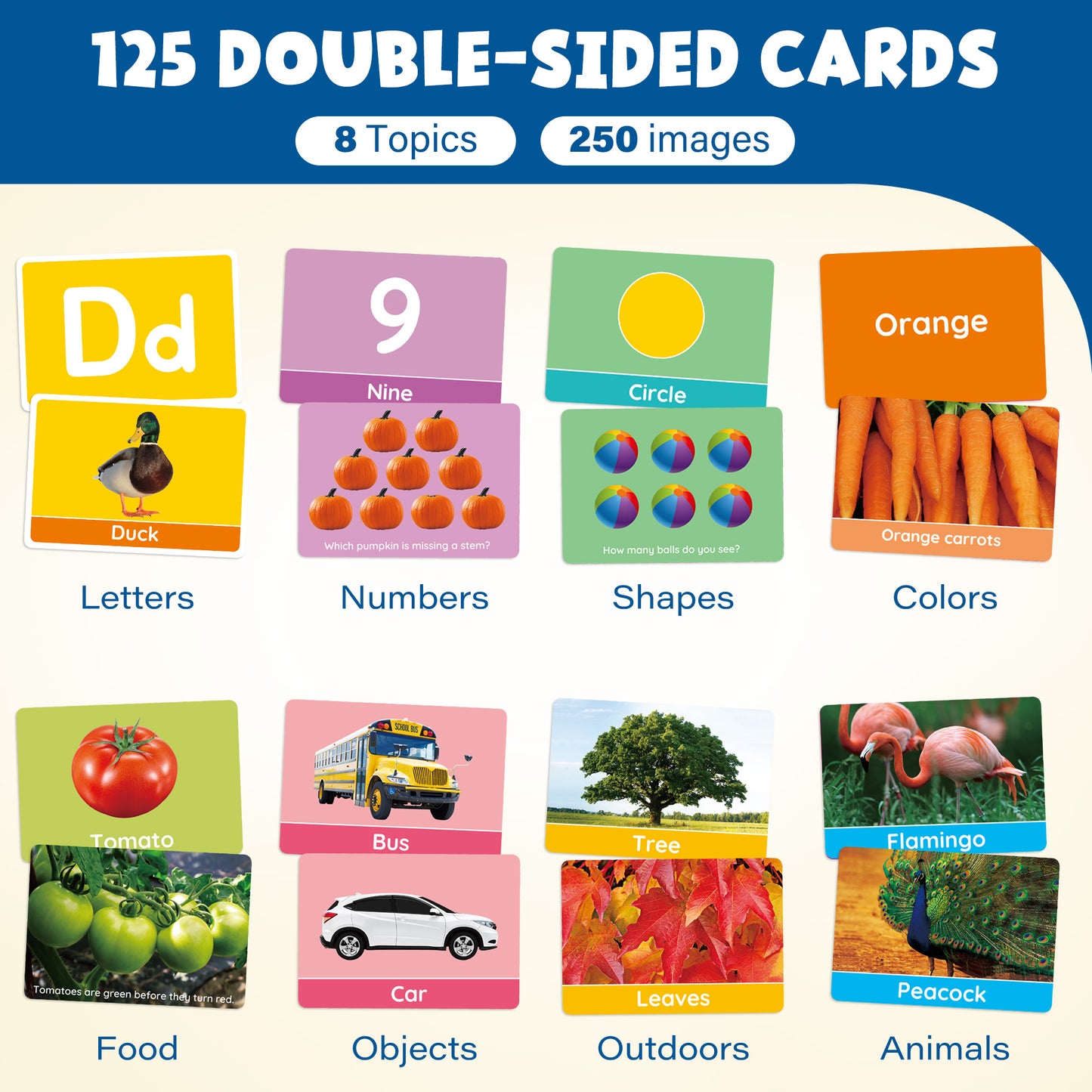 Extra Thick Toddler Flashcards