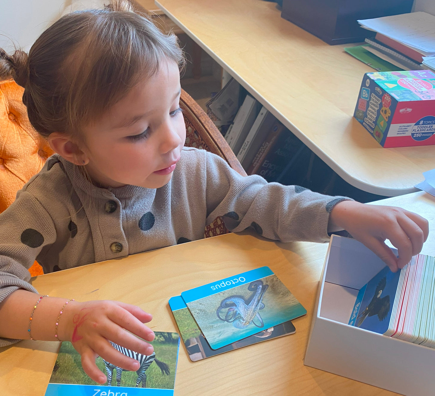 Extra Thick Toddler Flashcards