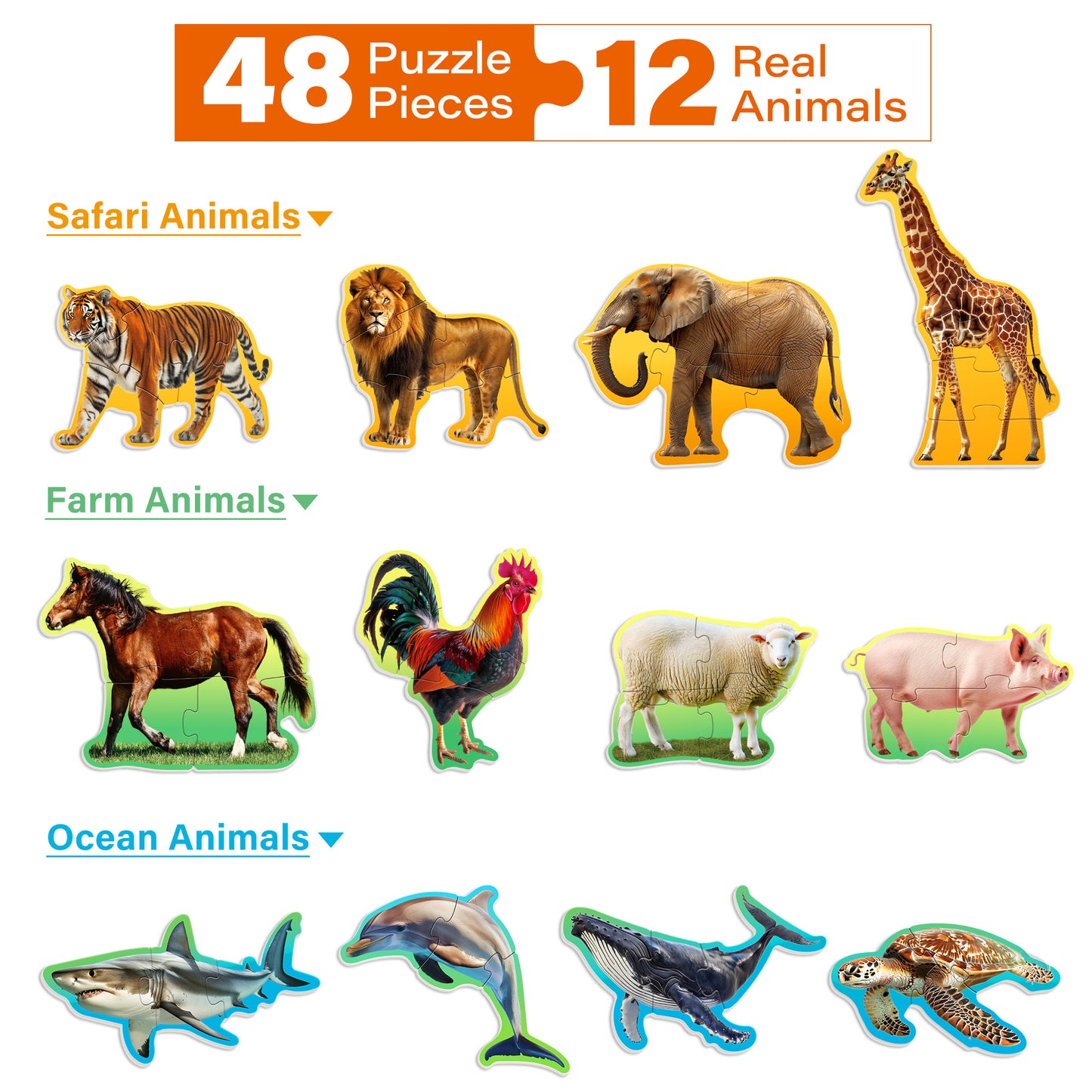Animal Puzzles