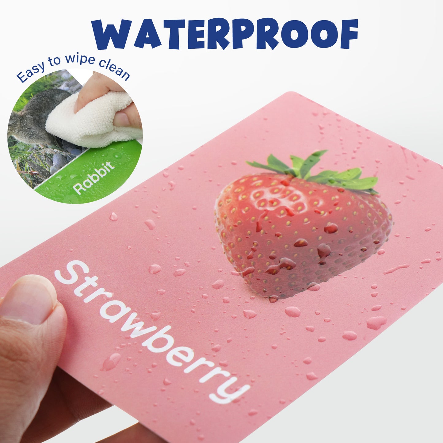 Rip-Proof Flash Cards