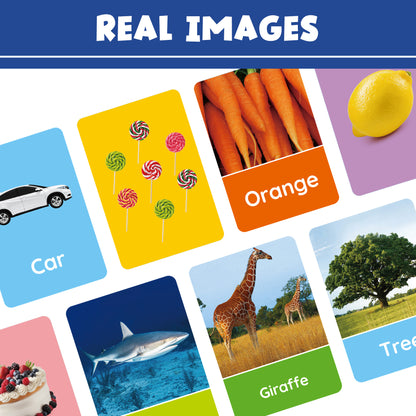 Rip-Proof Flash Cards